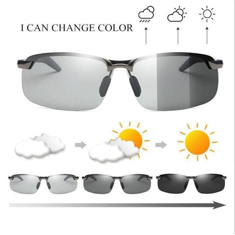 BD Classic Photochromic Sunglasses — Available in two styles